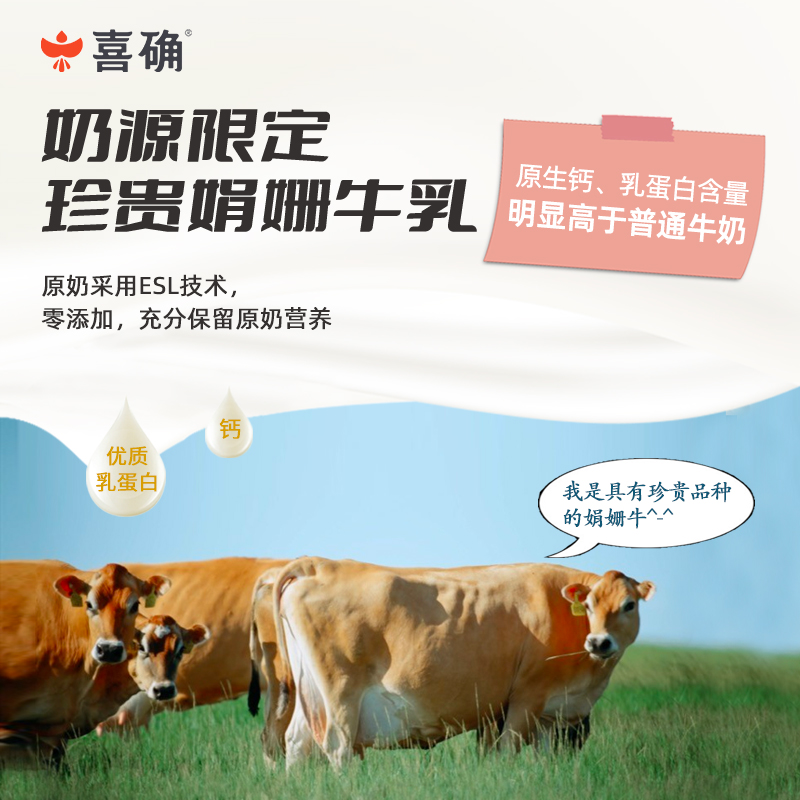 【喜确-牛奶馒头】生牛乳早餐营养健康方便奶白馒头240g*4袋 - 图1