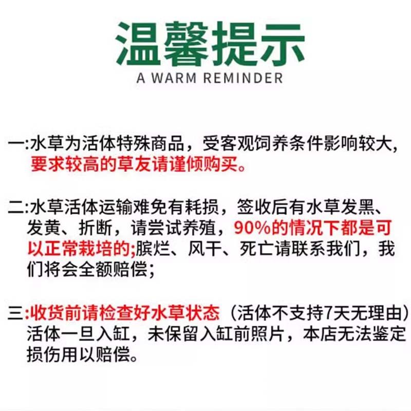 仿真沉木活体真水草淡鱼缸造景套餐阴性水榕水无土植物趴地矮珍珠,淘宝优惠券,粉丝福利购,淘宝优惠卷