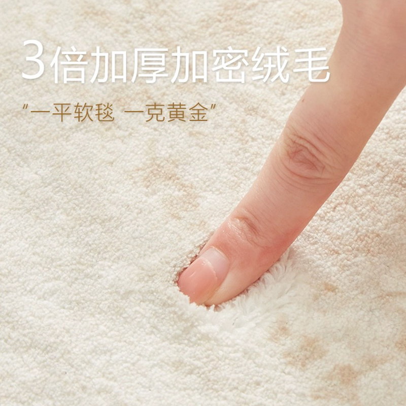 地毯客厅2025新款轻奢高级现代简约沙发茶几卧室床边毯免打理地垫 - 图2