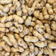New arrivals of peanuts in shell, roasted peanuts