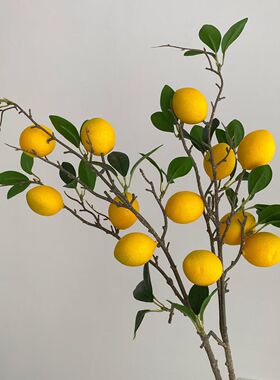 ins简约仿真花树枝柠檬果