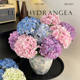 高级感3D绣球花仿真花餐桌客厅摆件花婚庆假花装饰插花绢花干花