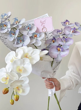 高端9头仿真蝴蝶兰兰花花