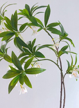 手感水石榕轻奢仿真花客