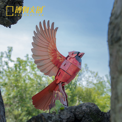 中国国家地理博物文创梦巴格飞鸟集雕鸮发声拼插纸模玩具新年礼物 - 图2