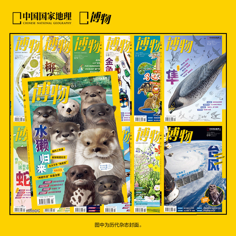 博物杂志2026年全年官方订阅青少年中小学生科普课外读物期刊,淘宝优惠券,粉丝福利购,淘宝优惠卷