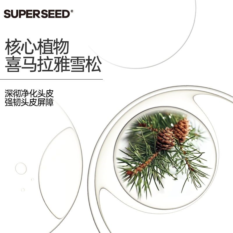 超级种子superseed雪松头皮清洁洗发水露籽清爽蓬松柔顺无硅油