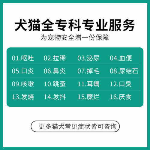 宠物医生问诊猫咪生病咨询兽医24小时线上宠物医院狗狗看病问诊疗 - 图1