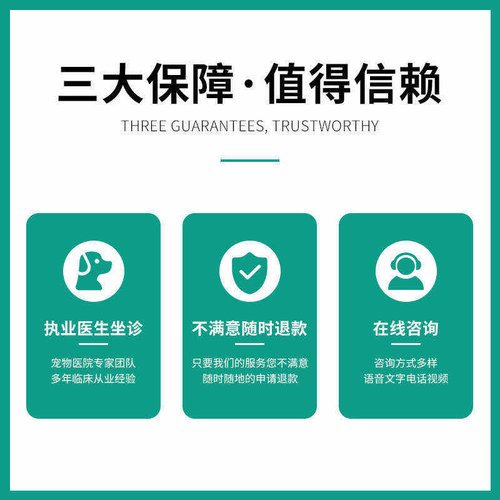 宠物医生问诊猫咪生病咨询兽医24小时线上宠物医院狗狗看病问诊疗 - 图2