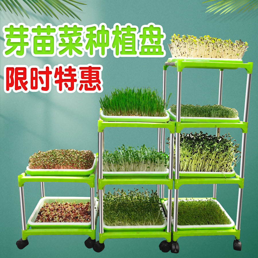 猫草营养土 新人首单立减十元 21年8月 淘宝海外