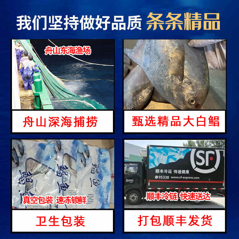 舟山海鲜新鲜大白鲳鱼冰鲜昌鱼银鲳扁鱼生鲜平鱼东海水产鲜活冷冻,淘宝优惠券,粉丝福利购,淘宝优惠卷