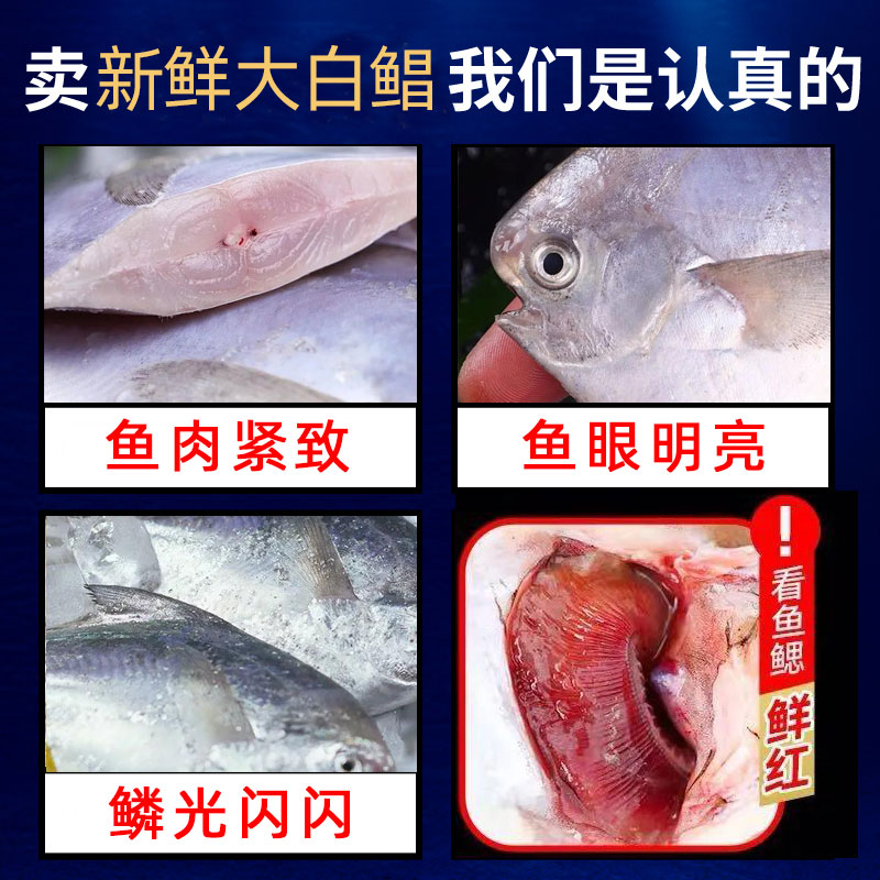 舟山海鲜新鲜大白鲳鱼冰鲜昌鱼银鲳扁鱼生鲜平鱼东海水产鲜活冷冻,淘宝优惠券,粉丝福利购,淘宝优惠卷