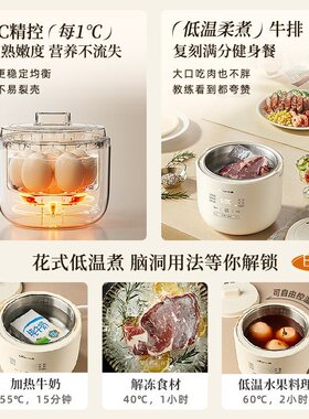 小熊多功能恒温锅电煮锅电火锅电蒸锅蒸蛋器家用预约定时蒸煮神器