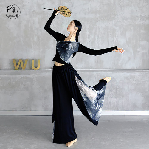 舞蹈上衣女款中国舞演出服形体训练服现代舞衣服新款古典舞练功服 - 图1