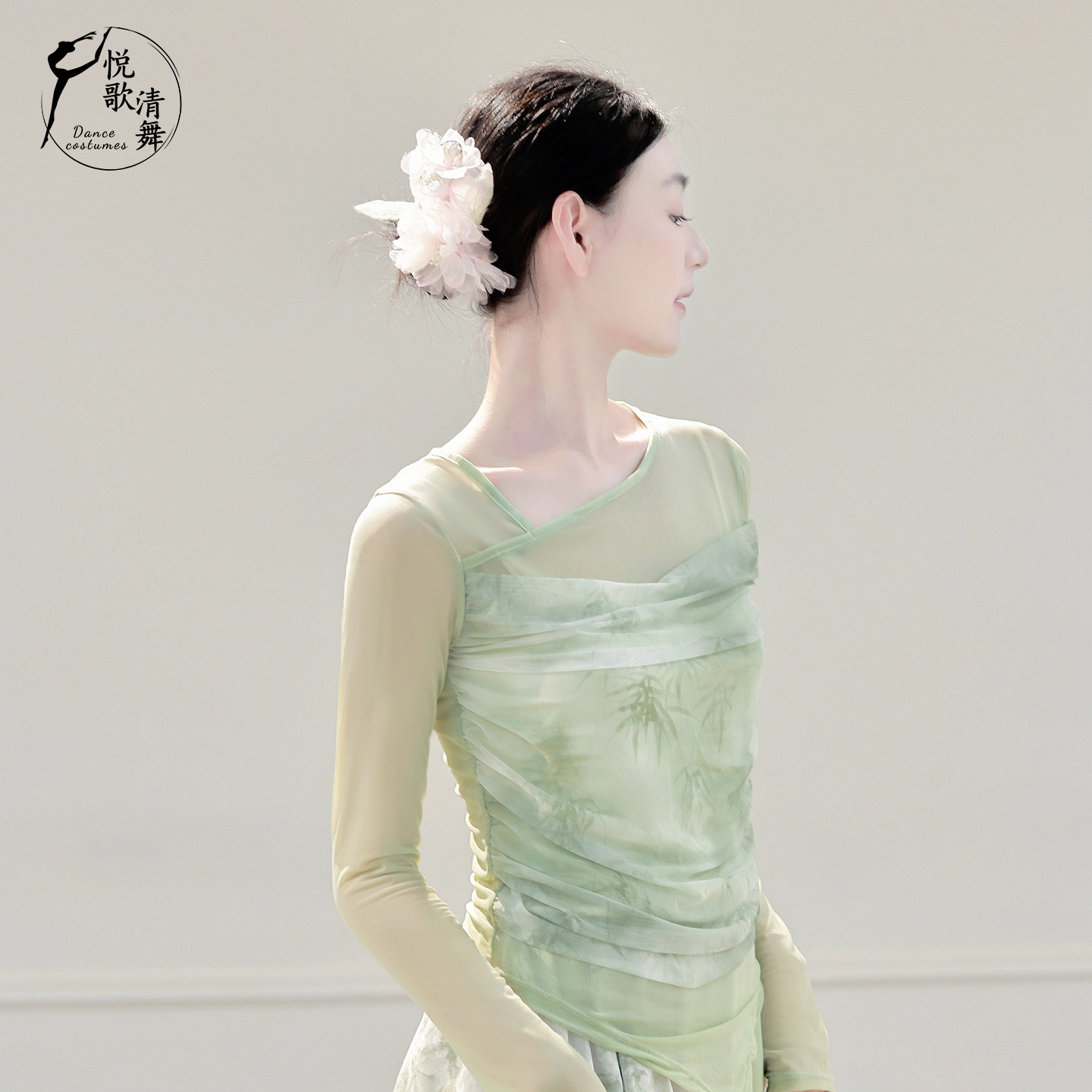 2025新款古典舞服装纱衣演出服漂亮中国舞练功服形体网纱舞蹈上衣,淘宝优惠券,粉丝福利购,淘宝优惠卷