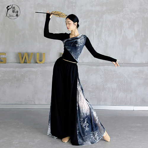 舞蹈上衣女款中国舞演出服形体训练服现代舞衣服新款古典舞练功服 - 图2