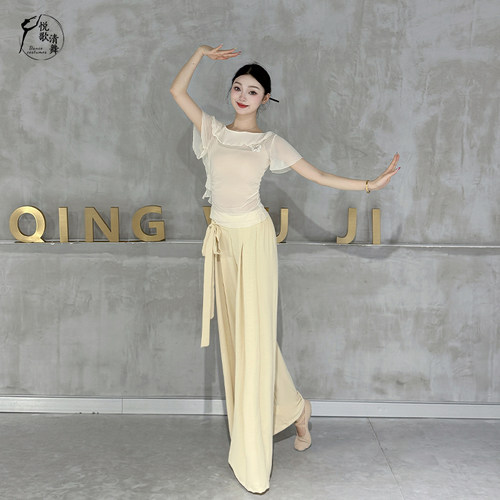 古典舞纱衣2026新款芭蕾舞中国舞练功服夏天形体短袖网纱舞蹈上衣 - 图2