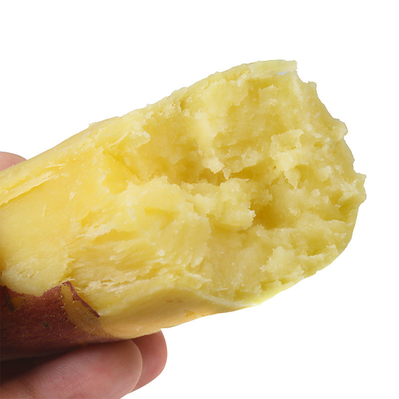 沙地板栗5斤新鲜糖心蜜薯整箱地瓜 咿鲜庄园番薯