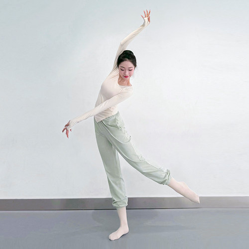 舞蹈练功服上衣女中国古典舞现代舞服装春夏新款短长袖形体舞蹈服 - 图2