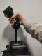 Extension de culbuteur pour culbuteur VKB Gladiator NXT