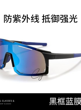 登雪山护目镜雪镜专业滑雪眼镜登山专用防风防紫外线防雪盲墨镜