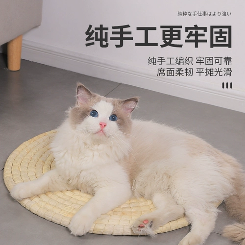 Кошачья гнездовая лоза Лето лето четыре сезона Common Claw Pucao Preparation Cool West Cat Cat Cat Gobbled Board Dog Nest Product