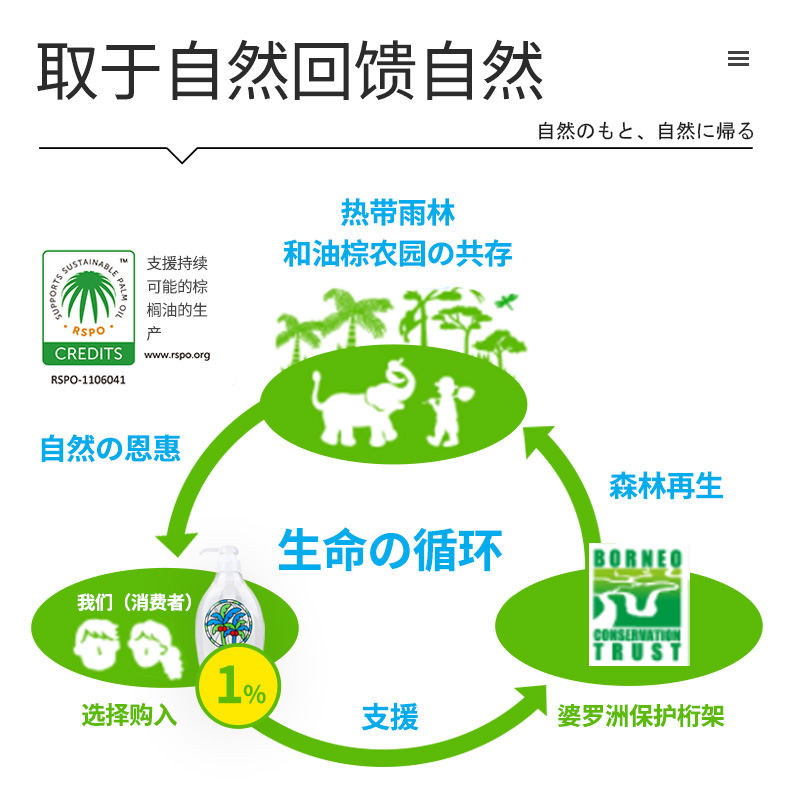 日本saraya中性洗洁精家用厨房果蔬餐具清洁剂去油椰油洗碗液去污-图0