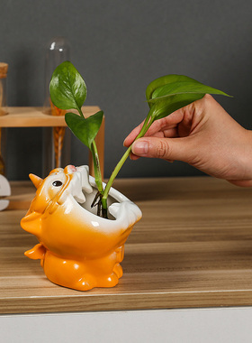 河豚陶瓷火龙果可装水养水培绿植新房装饰家居装饰石榴花器