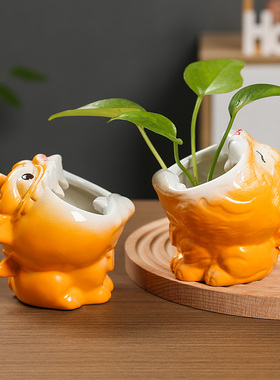 河豚陶瓷火龙果可装水养水培绿植新房装饰家居装饰石榴花器