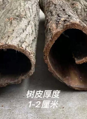 天然树皮干树皮包柱子真树皮柳树皮水管包裹装饰暖气管道树皮装饰