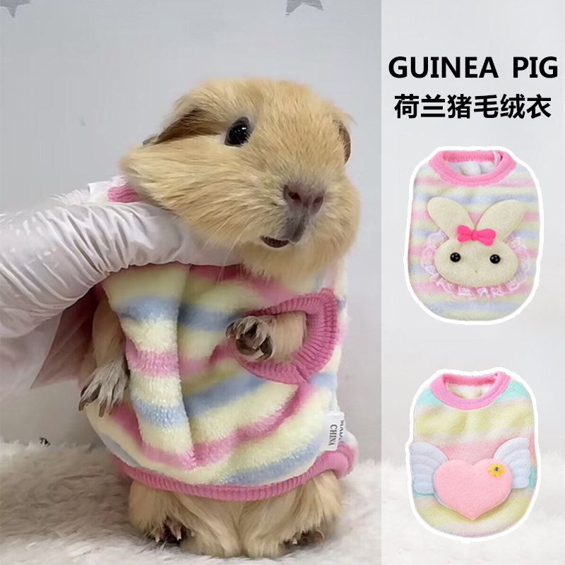 荷兰猪专用小衣服保暖冬天宠物豚鼠龙猫刺猬土拨鼠穿的加绒小衣服,淘宝优惠券,粉丝福利购,淘宝优惠卷