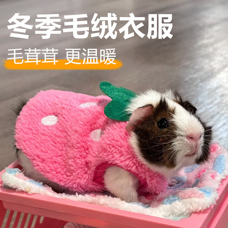 荷兰猪专用小衣服保暖冬天宠物豚鼠龙猫刺猬土拨鼠穿的加绒小衣服,淘宝优惠券,粉丝福利购,淘宝优惠卷
