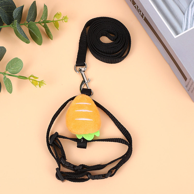 龙猫专用牵引绳超小号1斤可用溜宠物豚鼠金丝熊外出的绳子神器品,淘宝优惠券,粉丝福利购,淘宝优惠卷