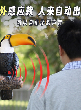 庭院花园布置假鸟仿真动物挂件