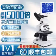 微生物培养 新人首单立减十元 21年8月 淘宝海外