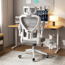 Computer Chair Dormitory College Student Comfort Study Chair Home Body Ergonomics Chair For Long Sitting Writing Chair Office Chair