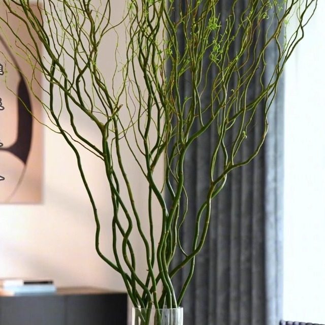 室内水培绿植龙柳鲜枝观叶净化空气好养活客厅四季可养一盆可养,淘宝优惠券,粉丝福利购,淘宝优惠卷