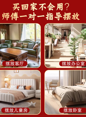 天然桃木挂件入户门玄关桃树枝条