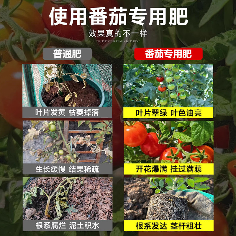 番茄专用肥料催果结果圣女果有机肥种盆栽西红柿蔬菜肥小番茄肥料,淘宝优惠券,粉丝福利购,淘宝优惠卷