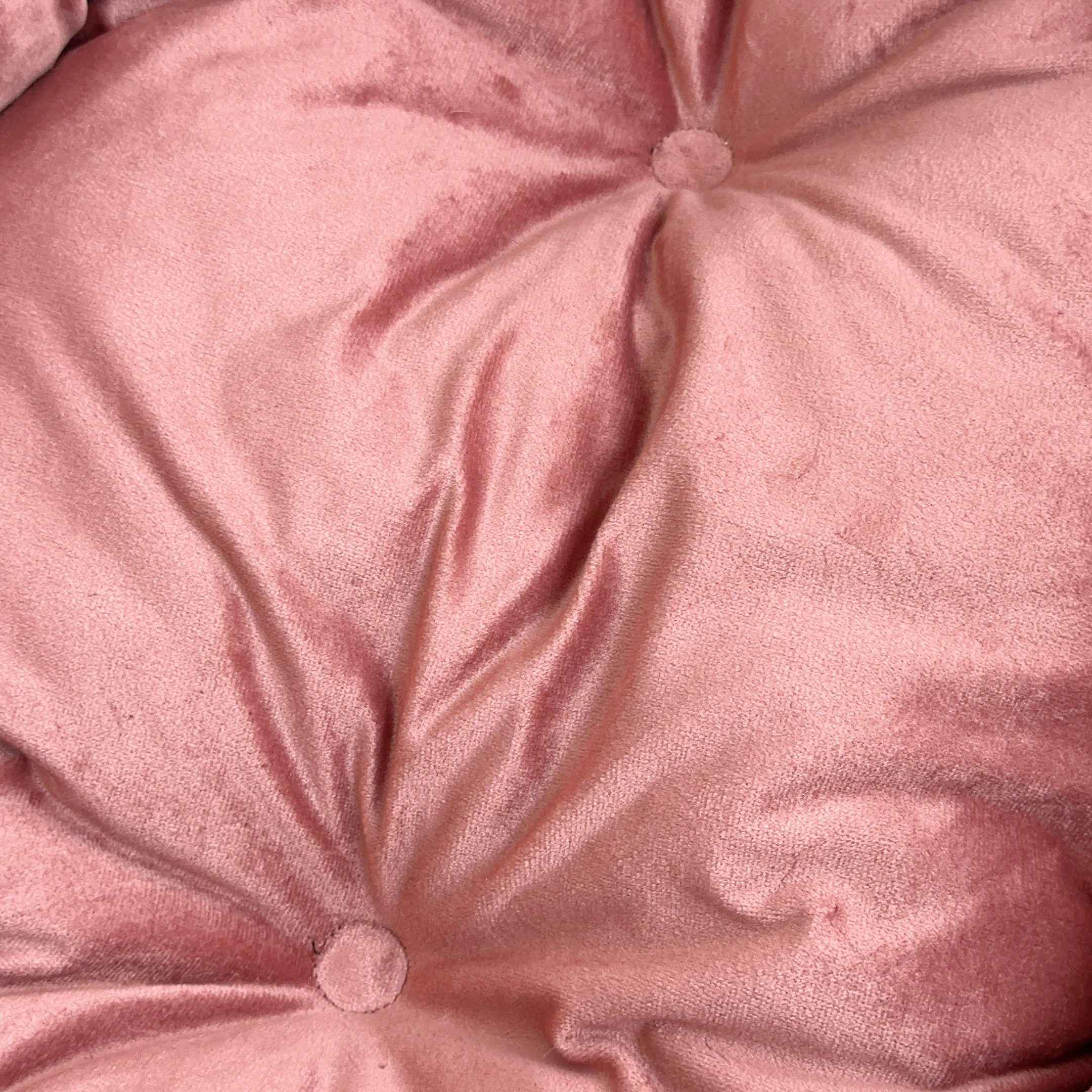 清仓猫窝冬季厚实保暖通用宠物沙发窝56*44cm,淘宝优惠券,粉丝福利购,淘宝优惠卷