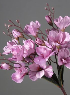 High Quality 5 Forks 20 Head Artificial Magnolia Flower For