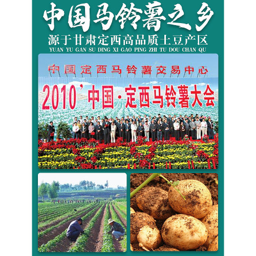 【5袋】甘肃定西宽粉条火锅粉大白宽土豆粉装整箱批发商用-图0