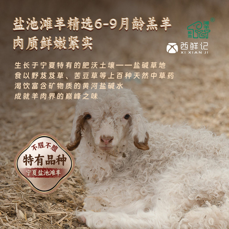 西鲜记正宗宁夏盐池滩羊 枸杞当归滋补羊肉羊腿肉原切小羊腿1500g,淘宝优惠券,粉丝福利购,淘宝优惠卷