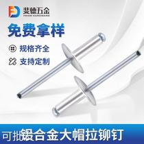 Opening type large peak extraction core rivet aluminium large cap pull rivet large cap pull nail large cap pumping core nail customisation