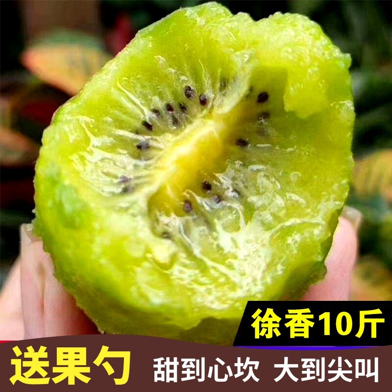 图 3