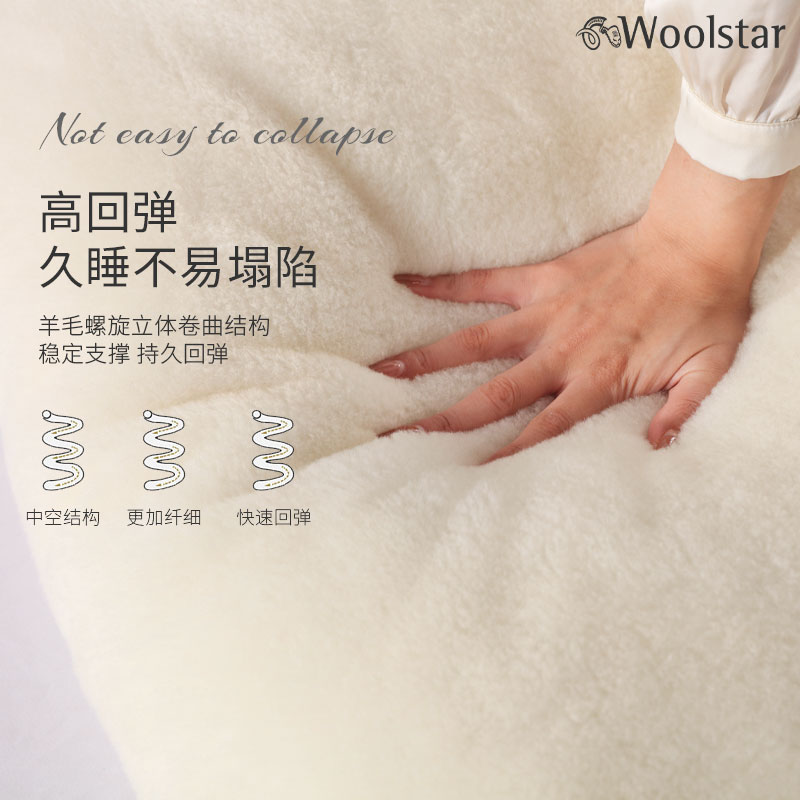 Woolstar澳洲进口羊毛枕套100%美利奴枕头套冬季加厚保暖枕套单个 - 图0