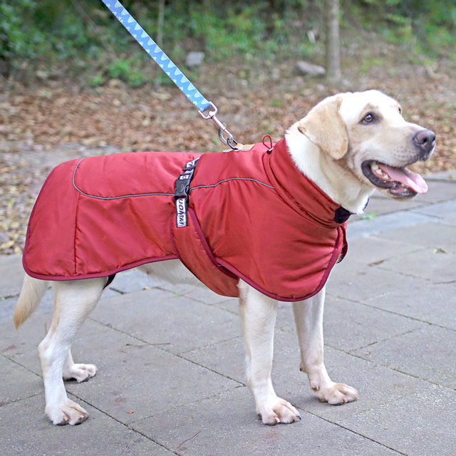 Dog warm windproof dog clothes medium and large dog autumn and winter style