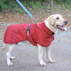 Dog warm windproof dog clothes medium and large dog autumn and winter style
