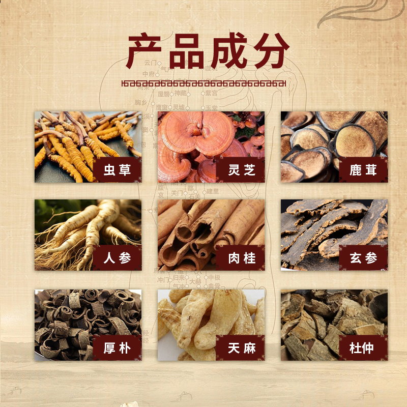印尼壮骨通脉丹风湿骨痛关节疼痛酸舒经活络四肢无力虫草灵芝48粒