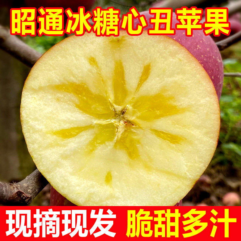 顺丰云南昭通丑苹果冰糖心苹果新鲜水果整箱当季脆甜应季10斤包邮,淘宝优惠券,粉丝福利购,淘宝优惠卷